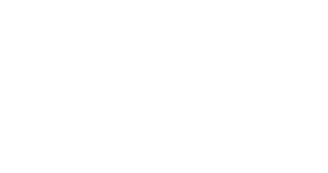 bsi