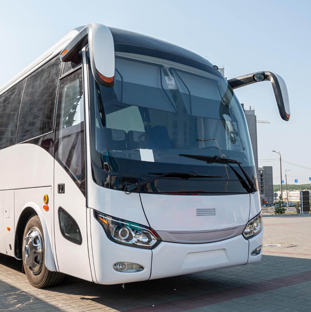 buses
